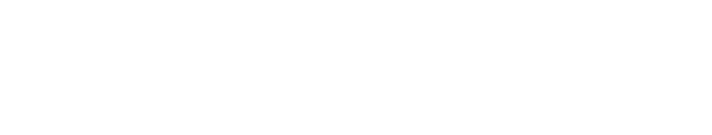 Standartisator